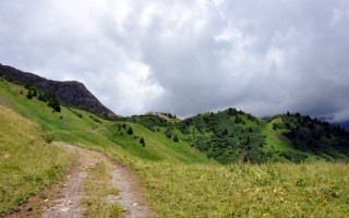  Weg zum Bürstegg