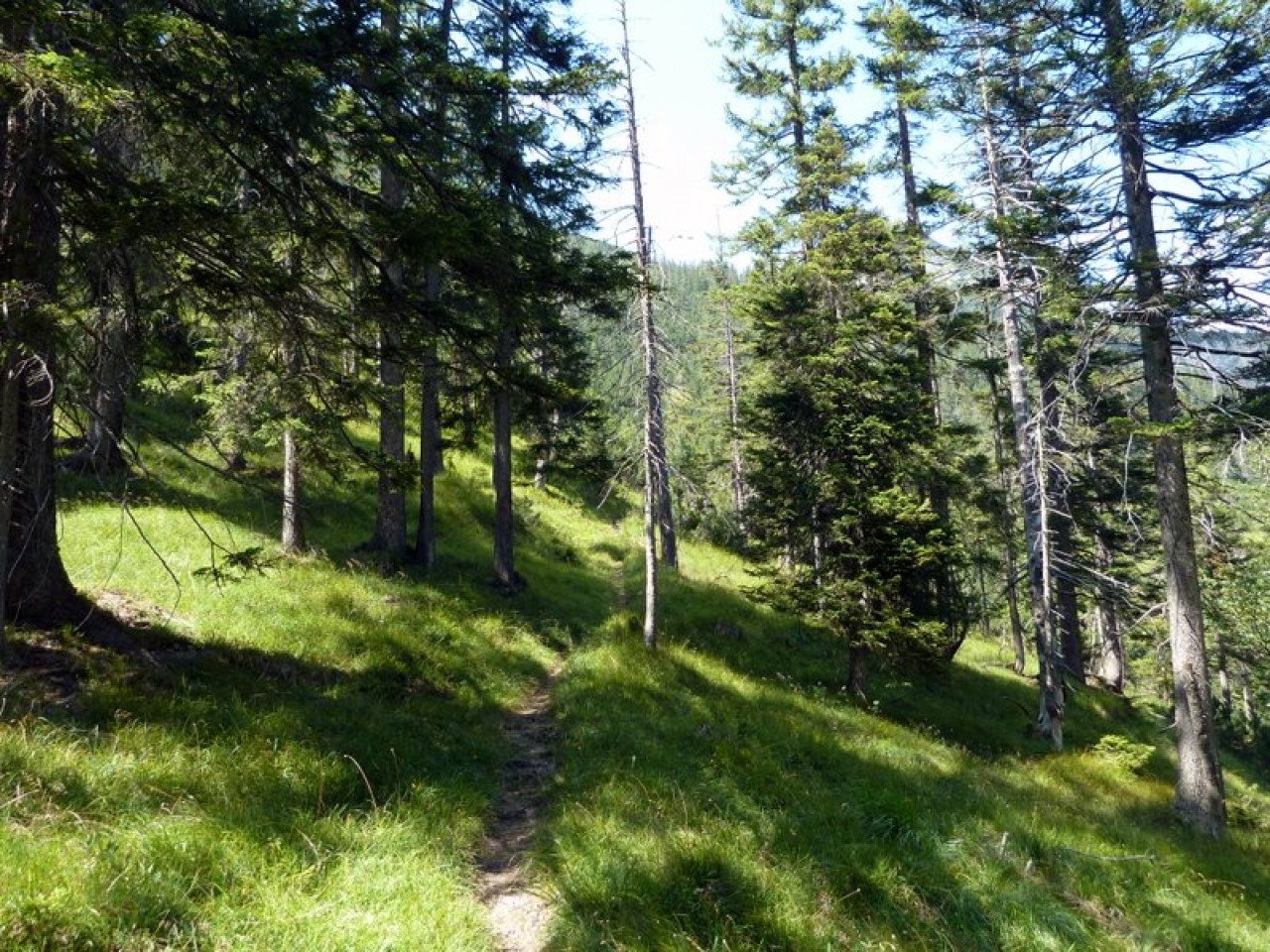  durch den Wald