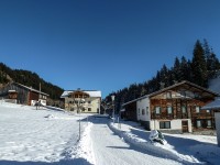 Seesumpf im Winter