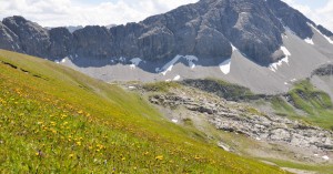  Blick zur Ruefispitze