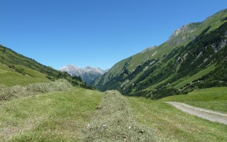  Heuernte Krabach