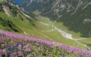  das Plötzigtal