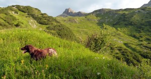  Aiko und Wildmahspitze