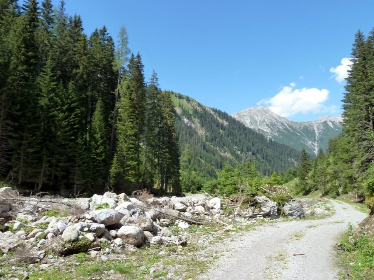  Alperschontal