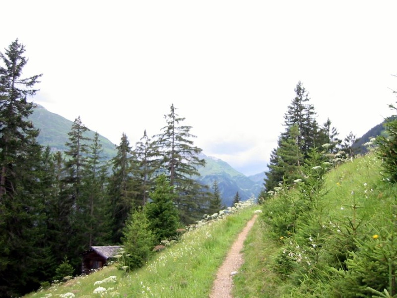  Auf dem Hager