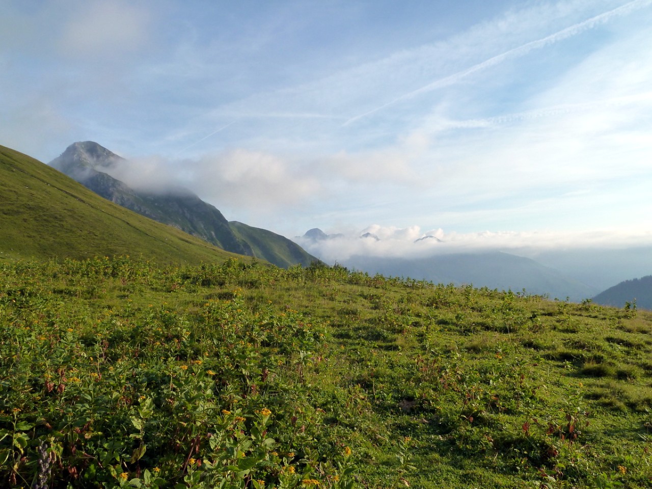  der Mahdbergalpe