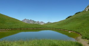  Biberkopf