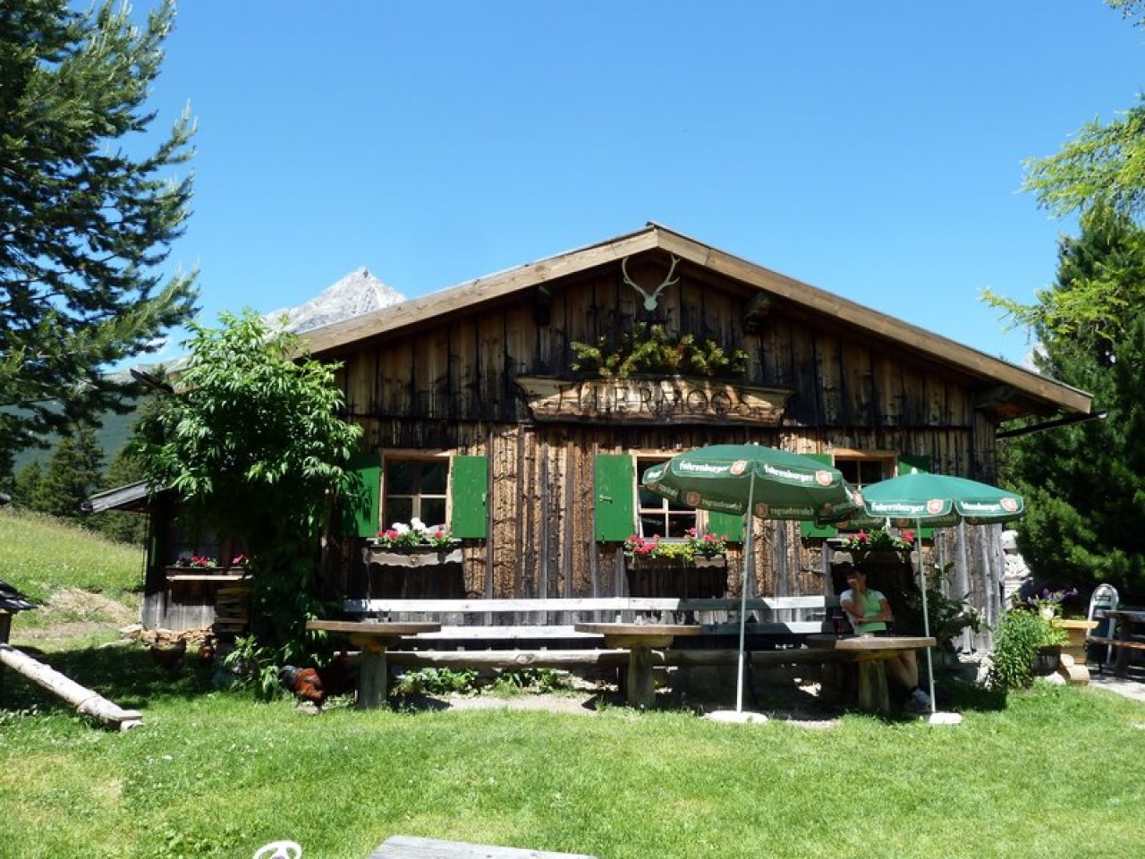 Bockbach - Gams Vroni