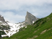 Bodenalpe - Alpe Erlach - Almajurtal