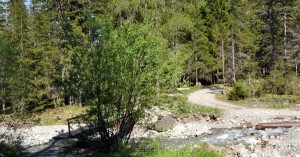  Brücke auf dem Weg zur Scheibe