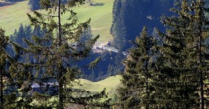  Hängebrücke Holzgau