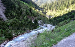  Höhenbachtal Richtung Roßgumpenalm
