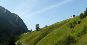 Kaisers vom Holzrinner