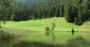  Seesumpf -Bach