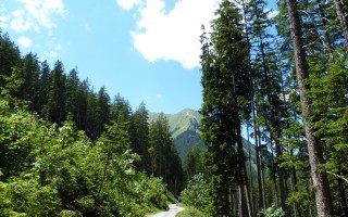  Strasse nach Madau