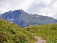 Weg zum Bürstegg