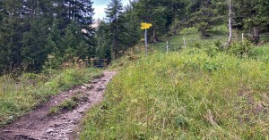  Abzweigung huette rotwand