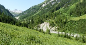  Alperschontal