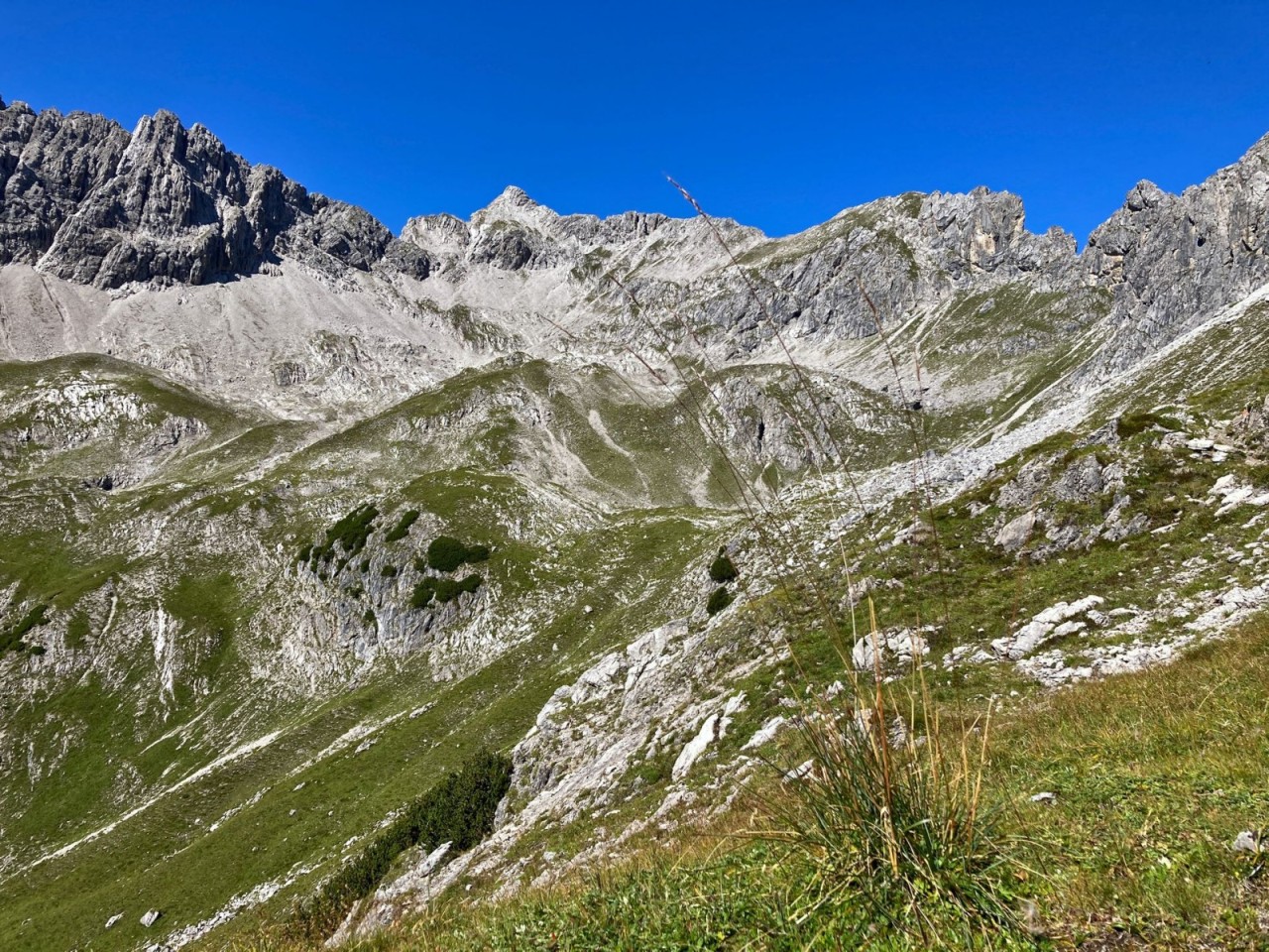  Balschtekar