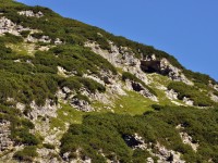 unterhalb der oberen Roßgumpenalm