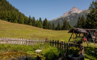  Bockbach - Gams Vroni
