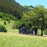  Auf der Schiggen