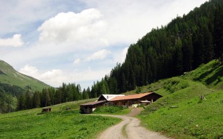  Bodenalpe - Alpe Erlach - Almajurtal