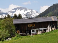 Holzgau im Frühling - Haus Schiggen