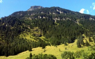  Vorderhornbach Grubig