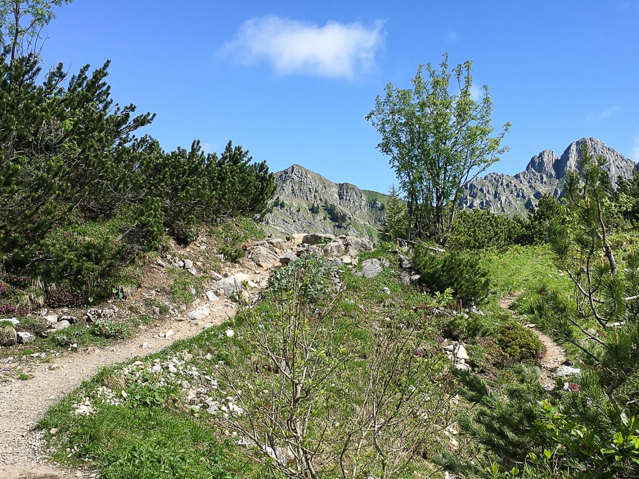  Wanderweg Hahnenkammgebiet