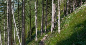  Madauer Höhenweg