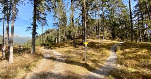  Gipfelanstieg Baichlstein