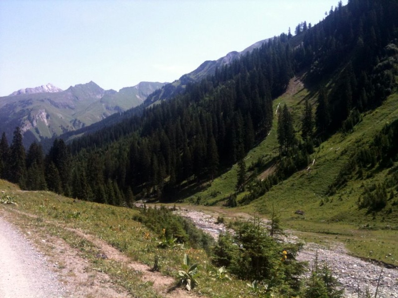  Almajurbach