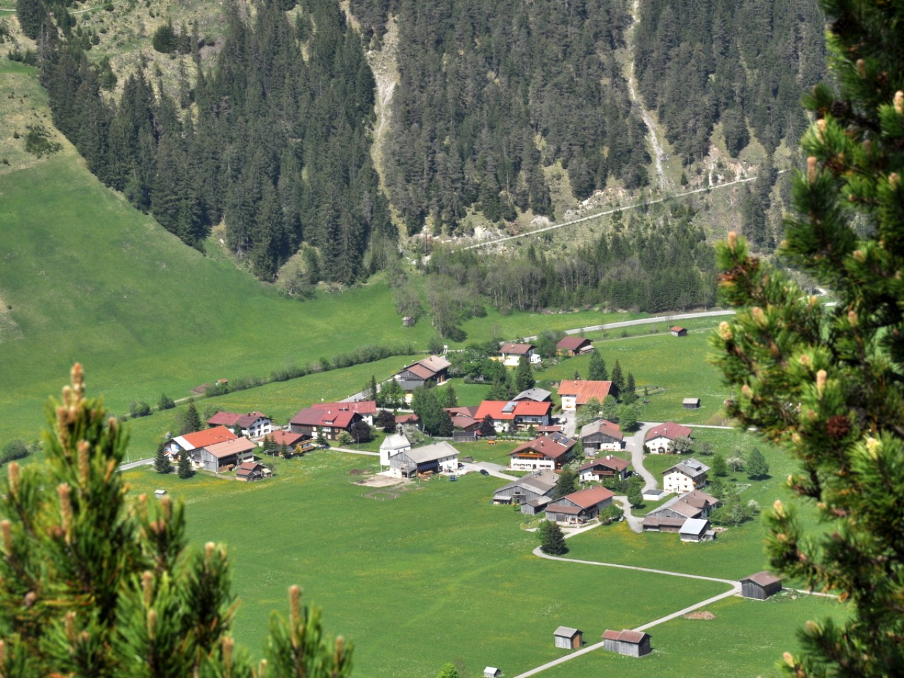  Schönau