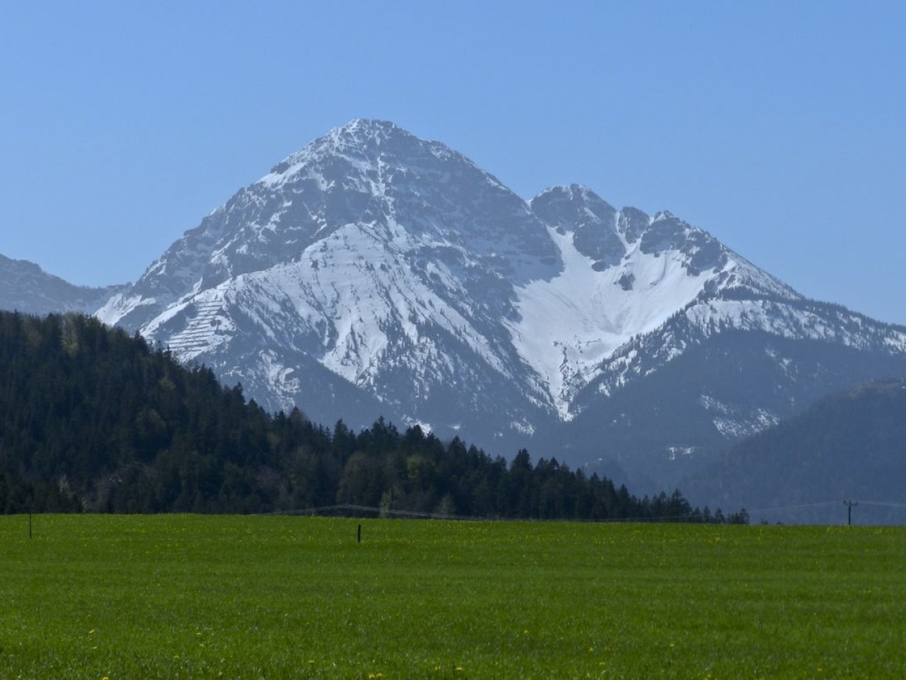  Thaneller von Säullingwiesen