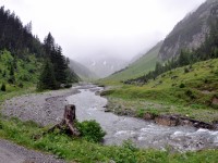Wanderung_zur_Alpe_Kaisers_im_Juli_2012_-_5.jpg