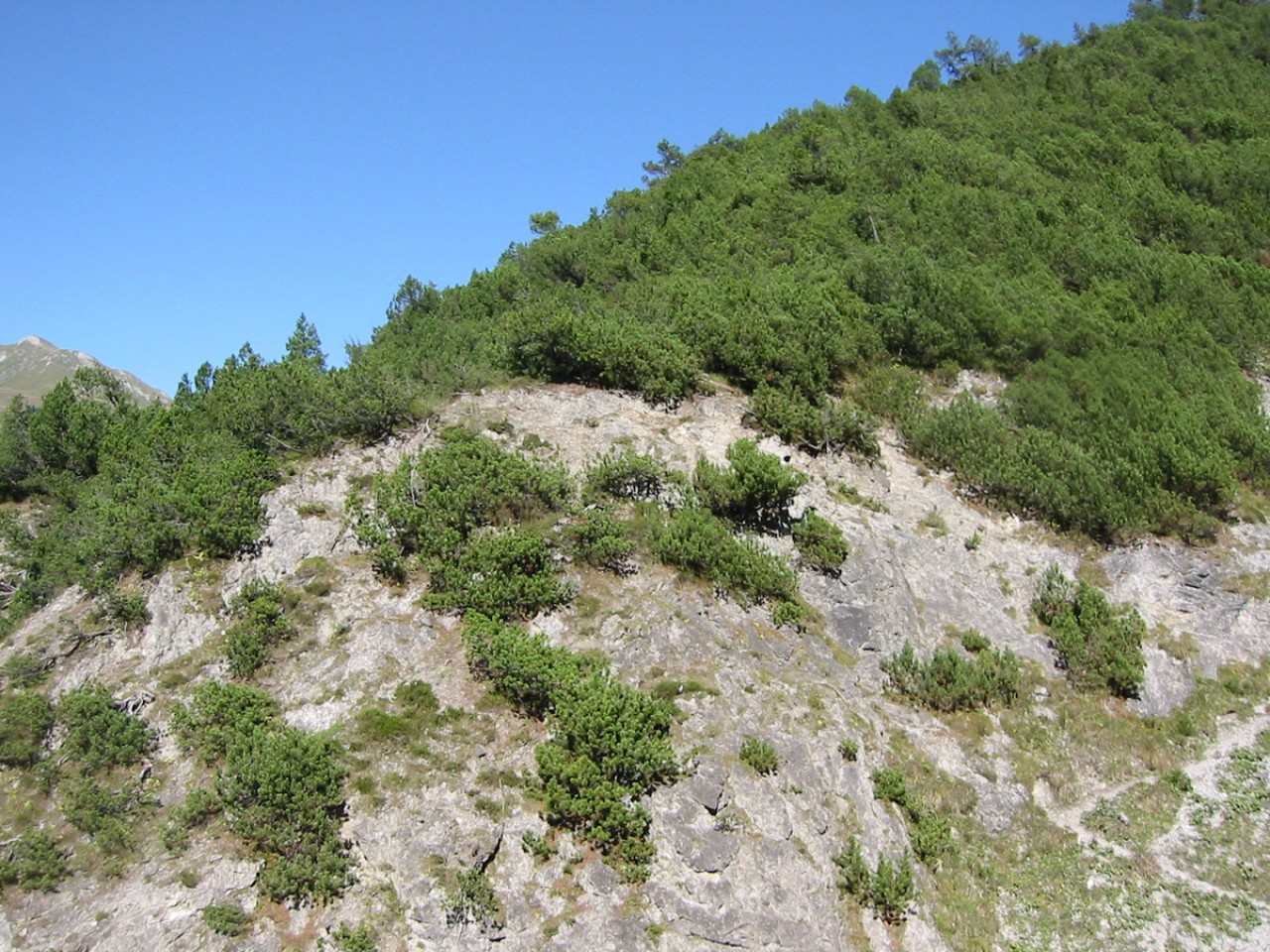  Weg zum Aussichtspunkt Scheibe