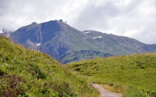  Weg zum Bürstegg