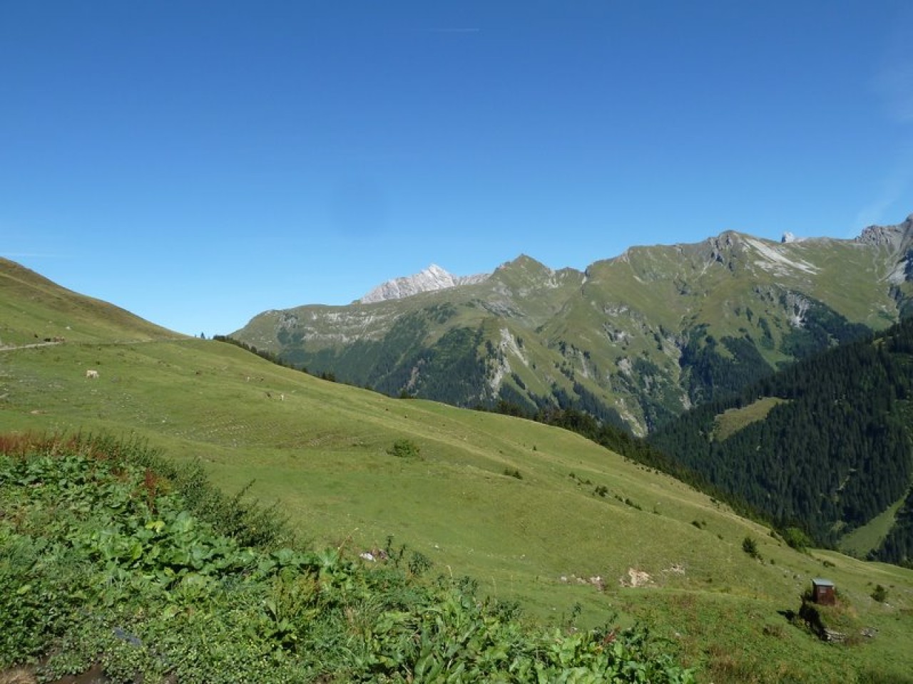  Auf der Mahdbergalpe
