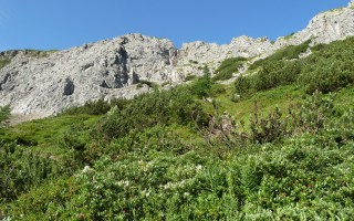  neuer Weg aufs Kaiserjochhaus