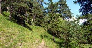  schmaler Weg - Grubachspitze
